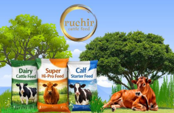 Ruchir Cattle Feed